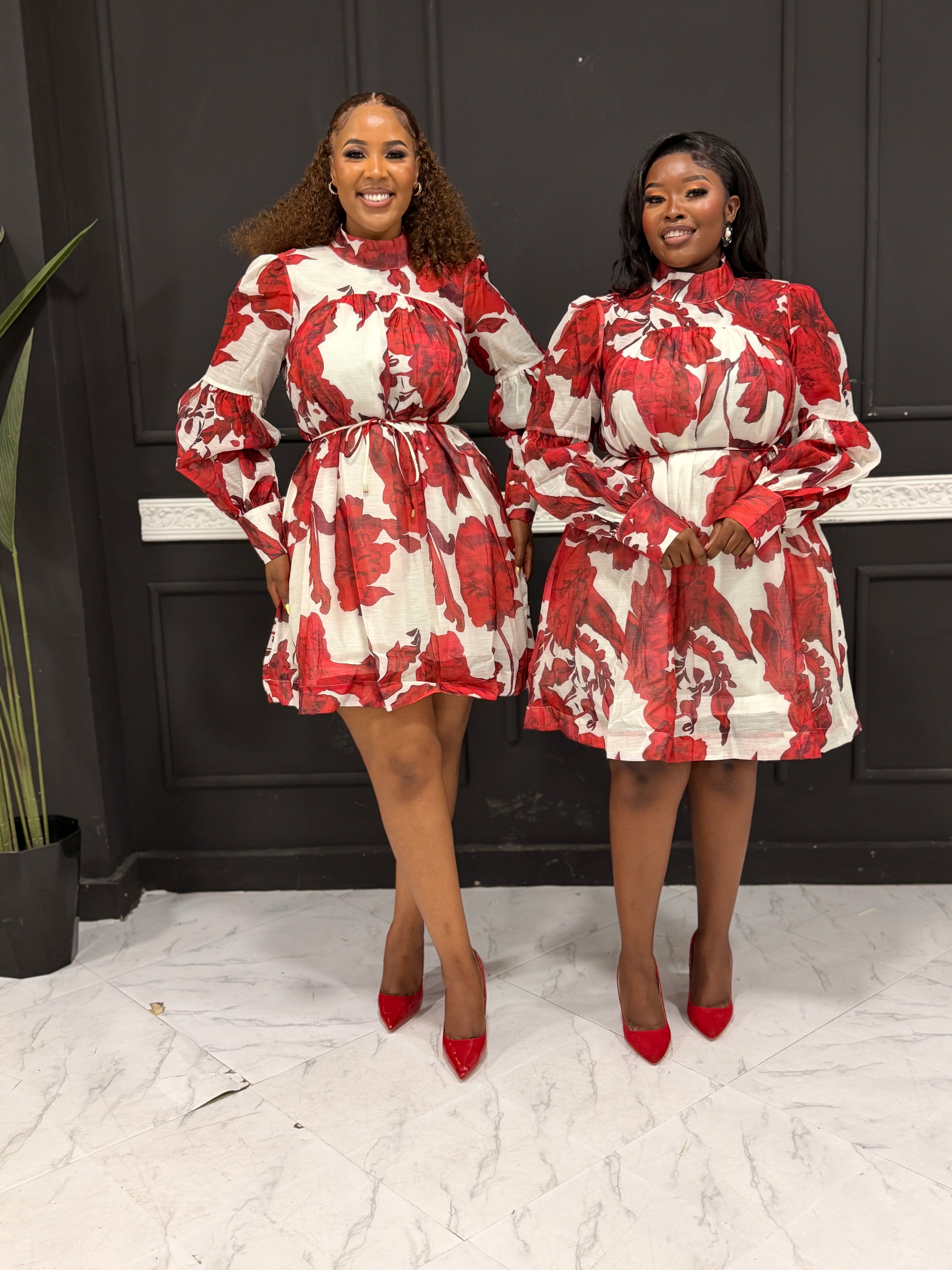 Scarlet Statement Dress