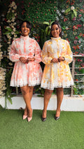Abby 2 pc dress