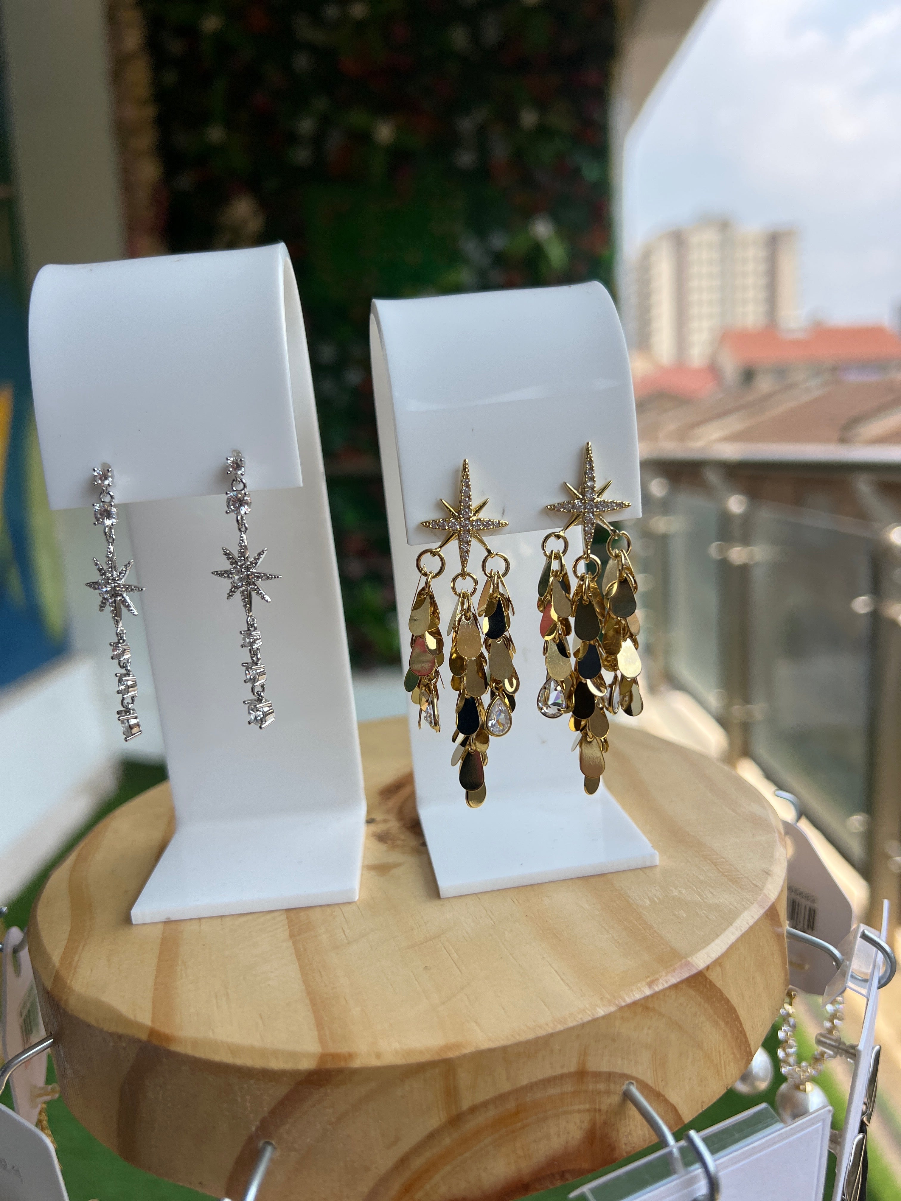 Earrings