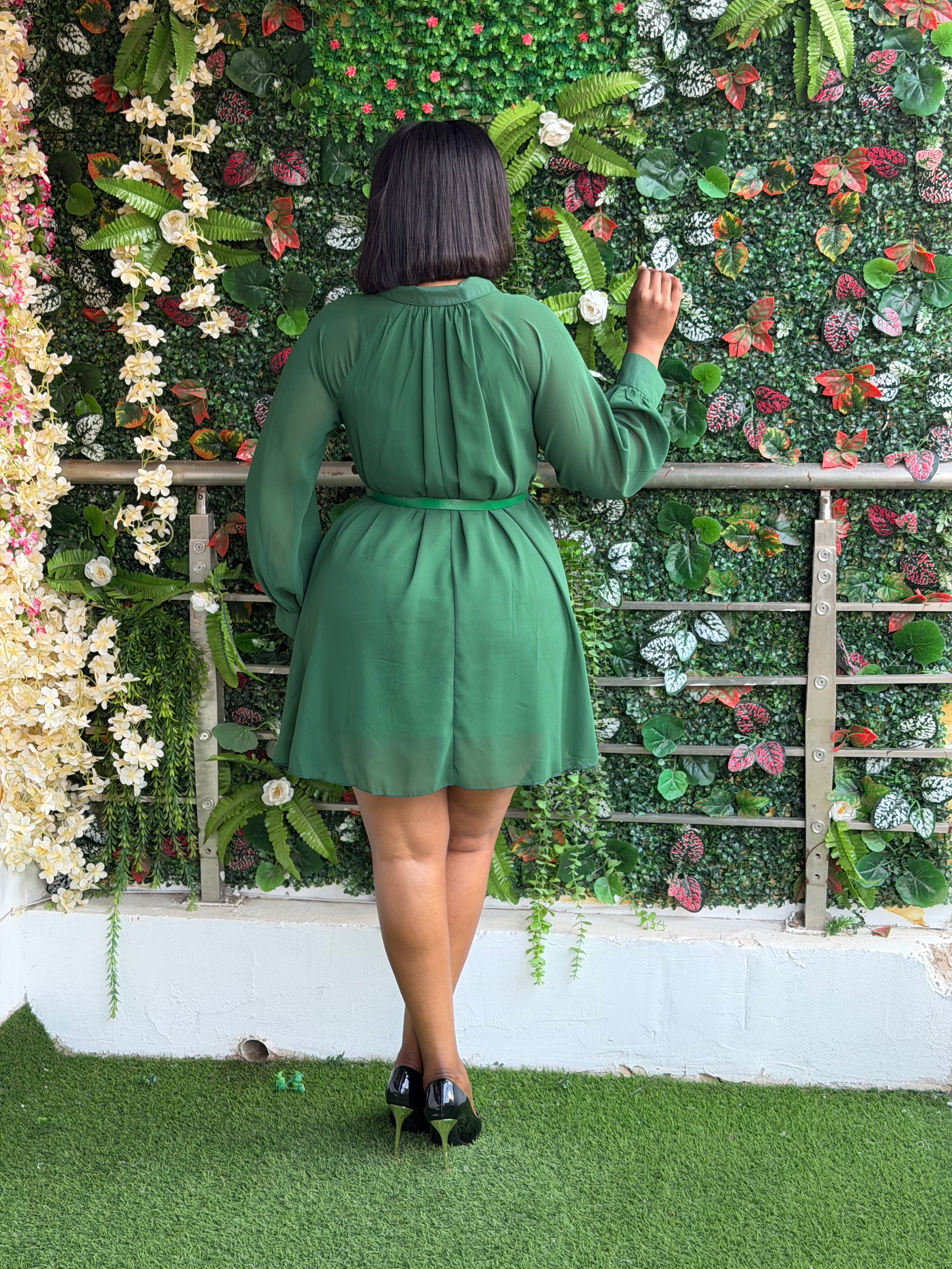 Belted Chiffon Blouse