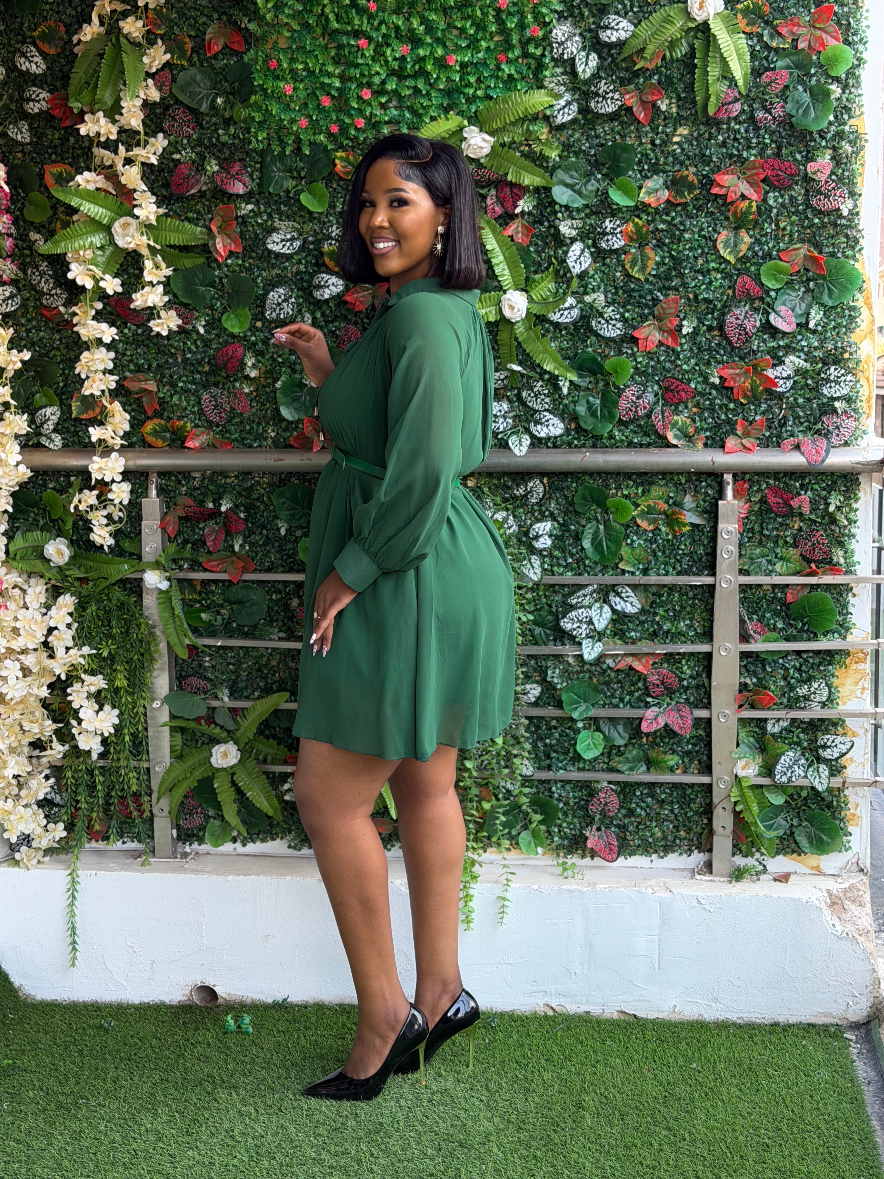 Belted Chiffon Blouse