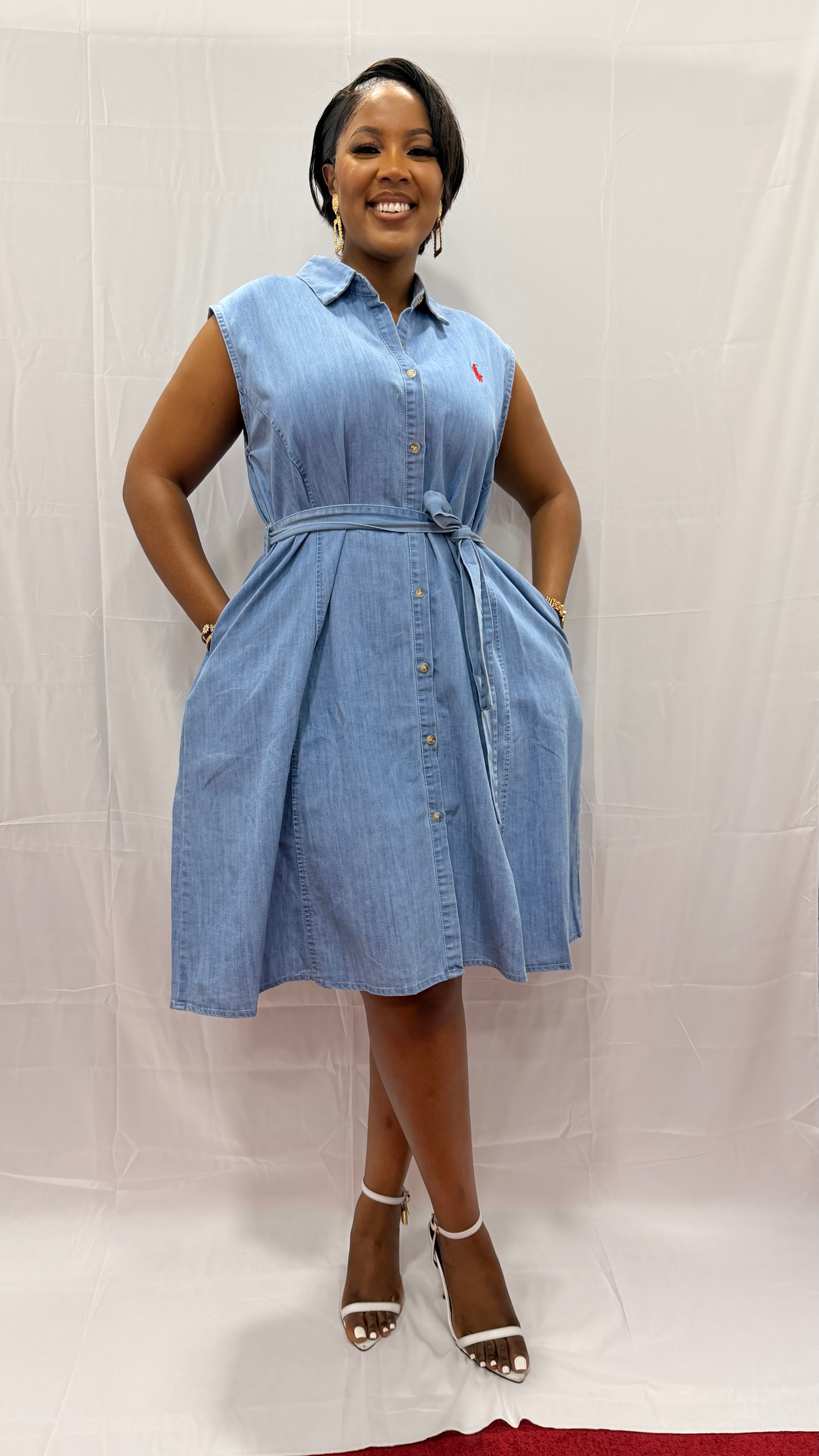 Polo Denim Dress