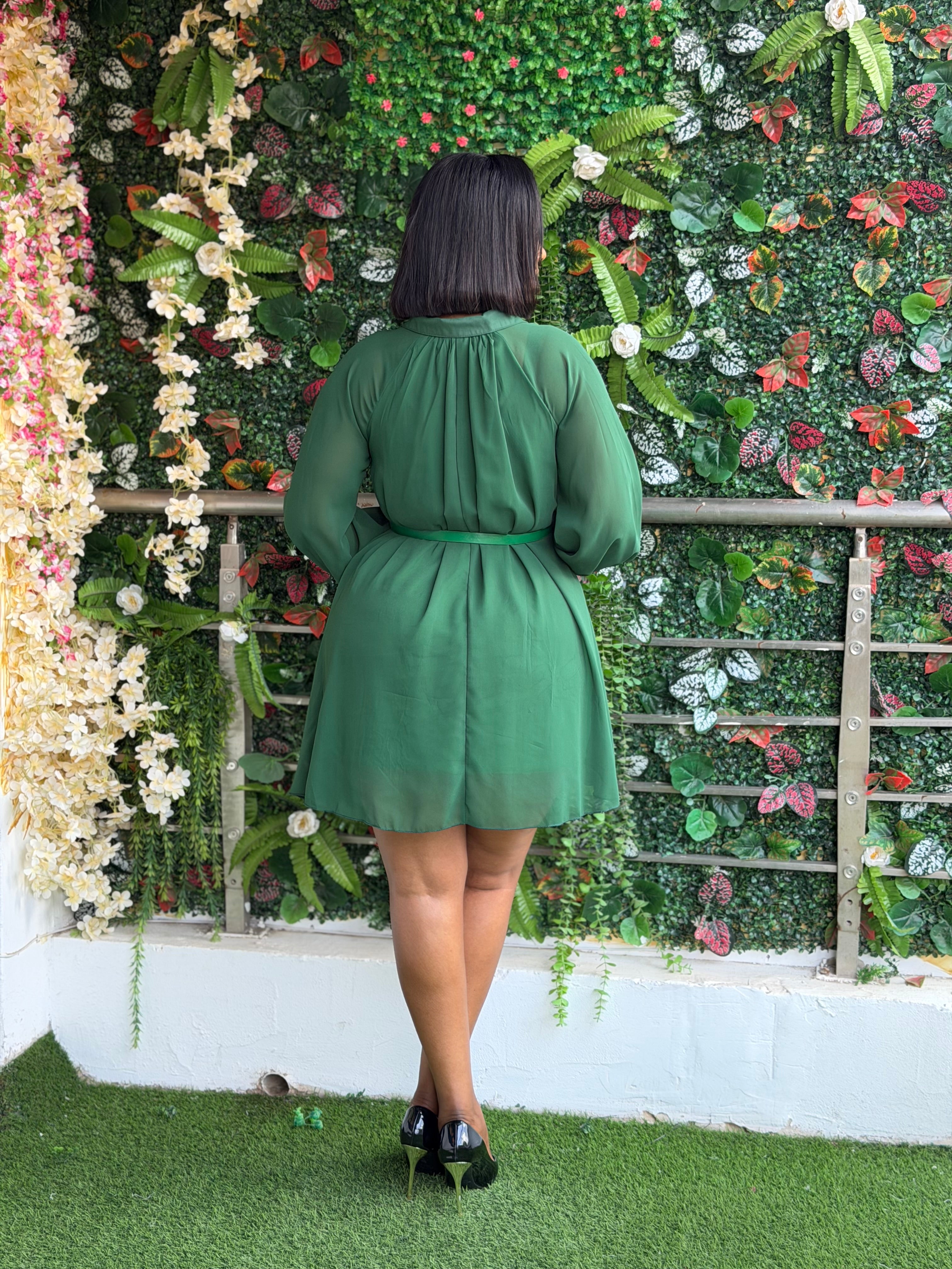 Belted Chiffon Blouse