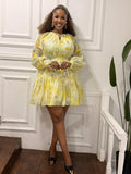 Golden Chiffon Dress