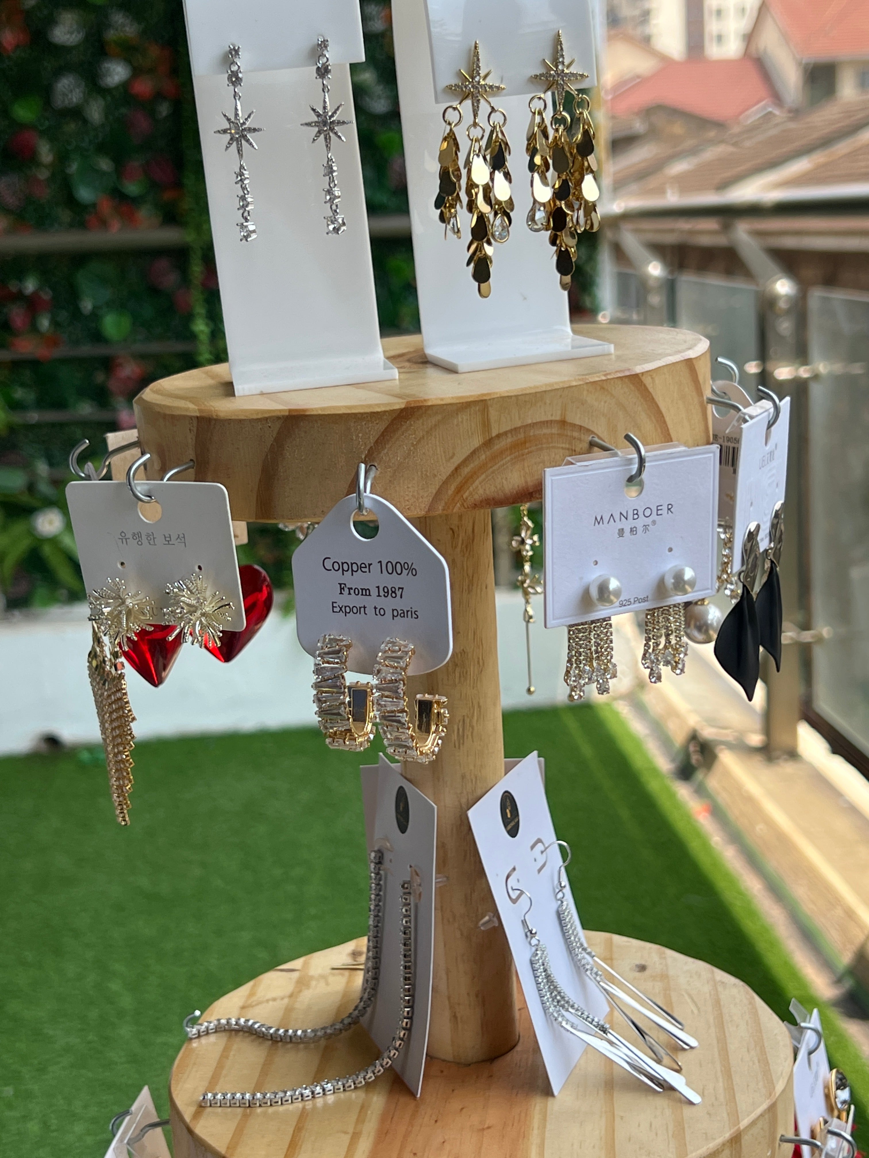 Earrings